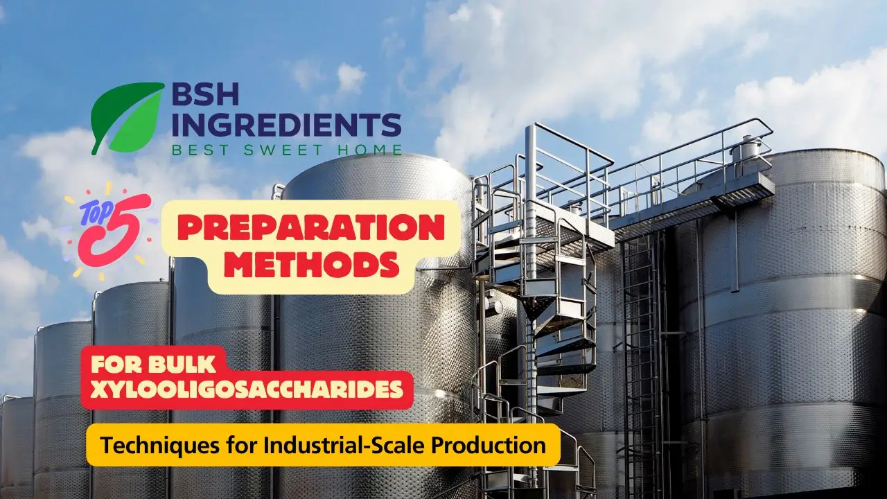 Preparation Methods for Bulk Xylooligosaccharides