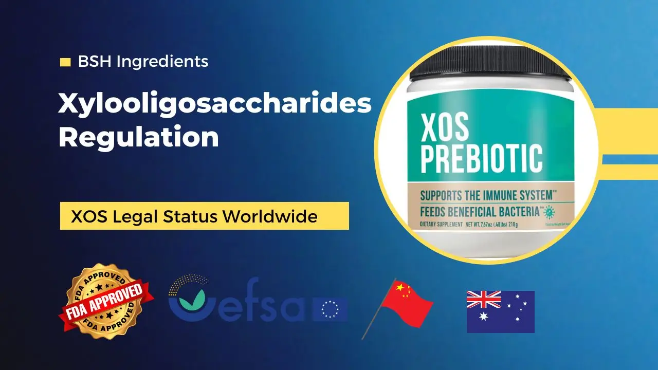 Xylooligosaccharides Regulation XOS Legal Status Worldwide